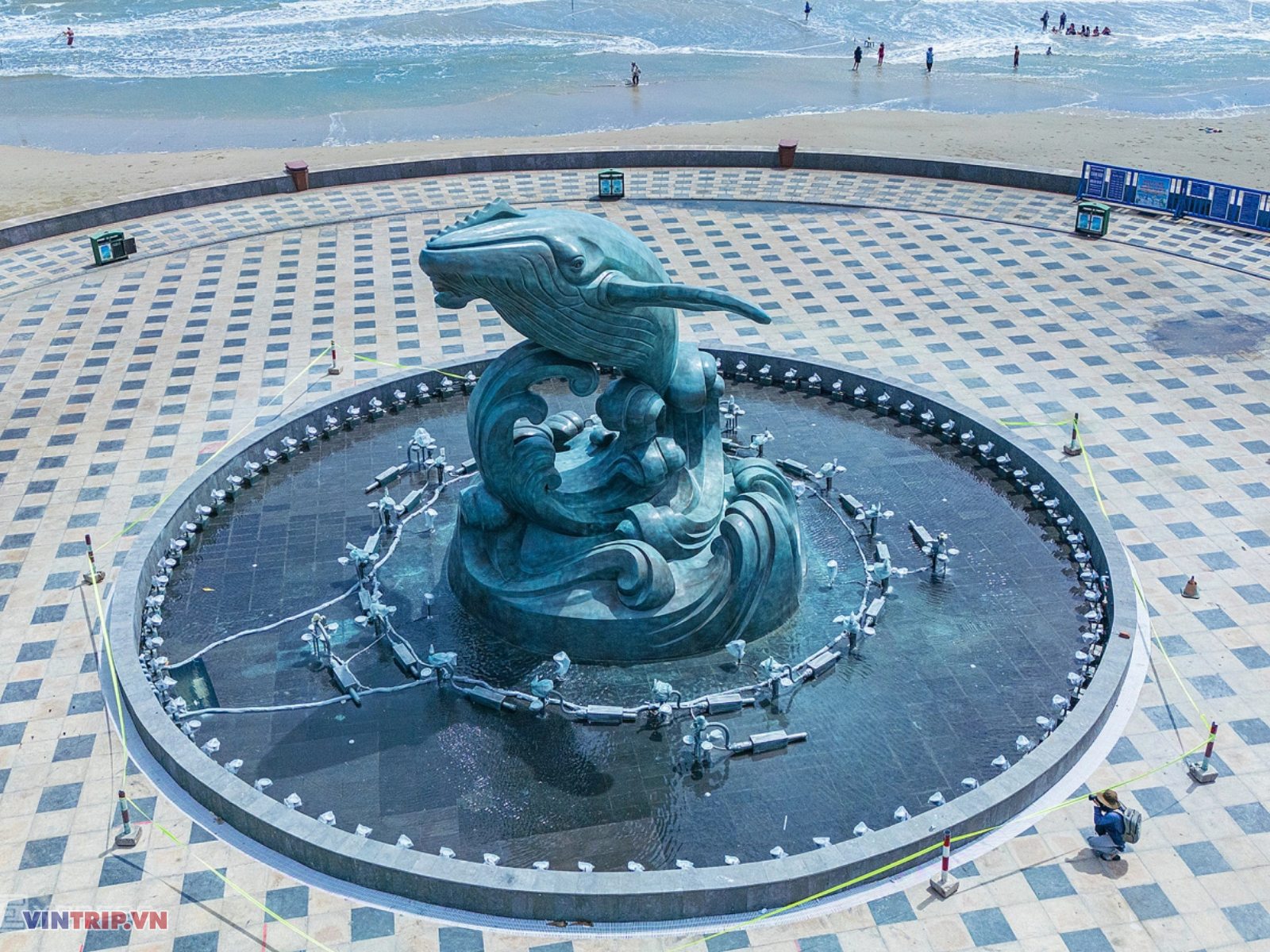 Cận Cảnh Tượng Cá Ông Bằng Đồng Cao Gần 9 Mét, Nặng 50 Tấn Ở Bãi Sau Vũng Tàu